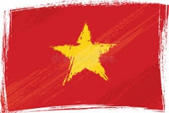 flaga wietnamu