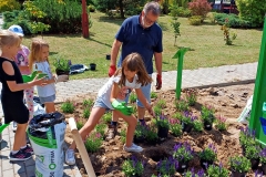 program-aktywnej-edukacji-uczniow-sciezka-sp-klucze-2024-1