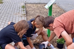 program-aktywnej-edukacji-uczniow-sciezka-sp-klucze-2024-3