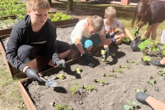 program-aktywnej-edukacji-uczniow-warzywnik-sp-klucze-2024-4