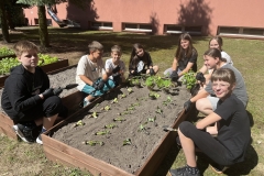 program-aktywnej-edukacji-uczniow-warzywnik-sp-klucze-2024-5