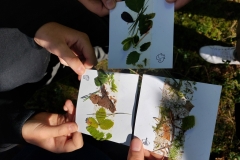 „Las-Kluczem-do-dobrego-klimatu-5