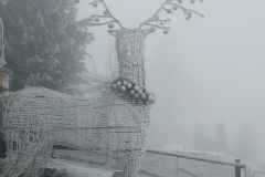 mikolajkowe-zakopane-sp-klucze-2024-4