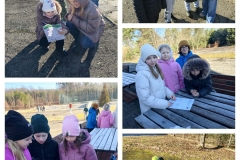 dinoprzygoda-w-2b-czyli-dzien-dinozaura-z-nauka-sp-klucze-2026-2