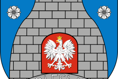 logo-gmina-boleslaw
