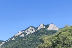 img_20241017_195843-1