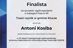 dyplom_instalogikantoni-kosiba