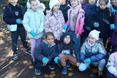 sadzenie-krokusow-sp-klucze-2025-10