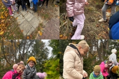 sadzenie-krokusow-sp-klucze-2025-5