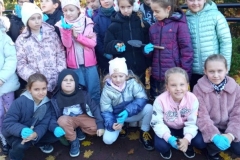 sadzenie-krokusow-sp-klucze-2025-9