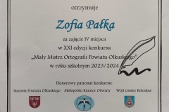 wielkie-osiagniecie-uczniow-naszej-szkoly-maly-mistrz-orfografiisp-klucze-2024-10