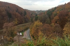 Wycieczka-klas-czwartych-do-Ojcowa-SP-Klucze-2022-28
