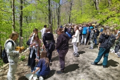 wycieczka-w-bieszczady-klasy-5-sp-klucze-2024-3
