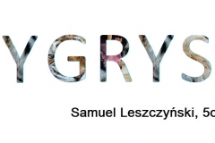 1. Leszczyński Samuel, Tygrys