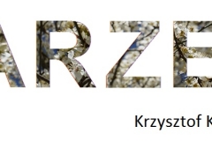 29. Krzysztof Krawczyk