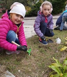 dziewczynki sadzące w gruncie cebulki krokusów