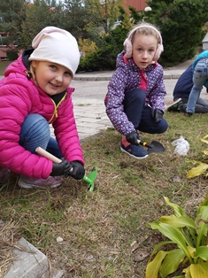 dziewczynki sadzące w gruncie cebulki krokusów