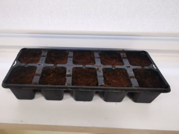 MegaMisja- misja dodatkowa