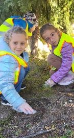 Akcja „Krokusy 2022”