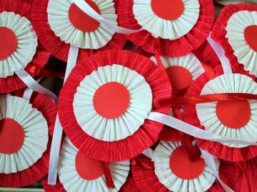 #SzkołaDoHymnu - kotylion