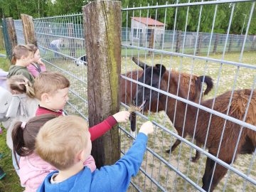 Dzień z życia wiejskiej zagrody, SP Klucze 2025